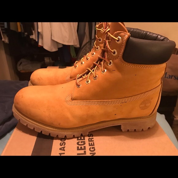 Timberland 6 inch classic wheat boots main image 6